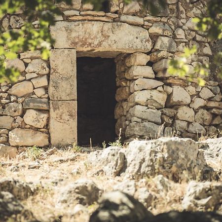 Masseria Storica Pilapalucci Toritto Esterno foto